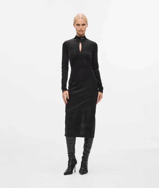 Funkelndes Samtkleid Funkelndes Samtkleid