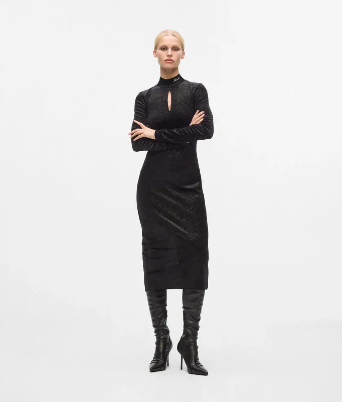Funkelndes Samtkleid Funkelndes Samtkleid