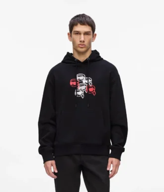 Hoodie mit Ikon-Print
