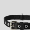 K/PET COLLAR