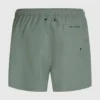 Kameo Boardshorts