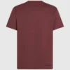 KAMEO T-SHIRT MIT V-AUSSCHNITT