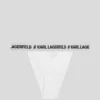 LOGO BRAZILIAN BRIEFS LOGO BRAZILIAN BRIEFS