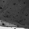 Mädchenkleid aus Strass-Netzstoff Mädchenkleid aus Strass-Netzstoff